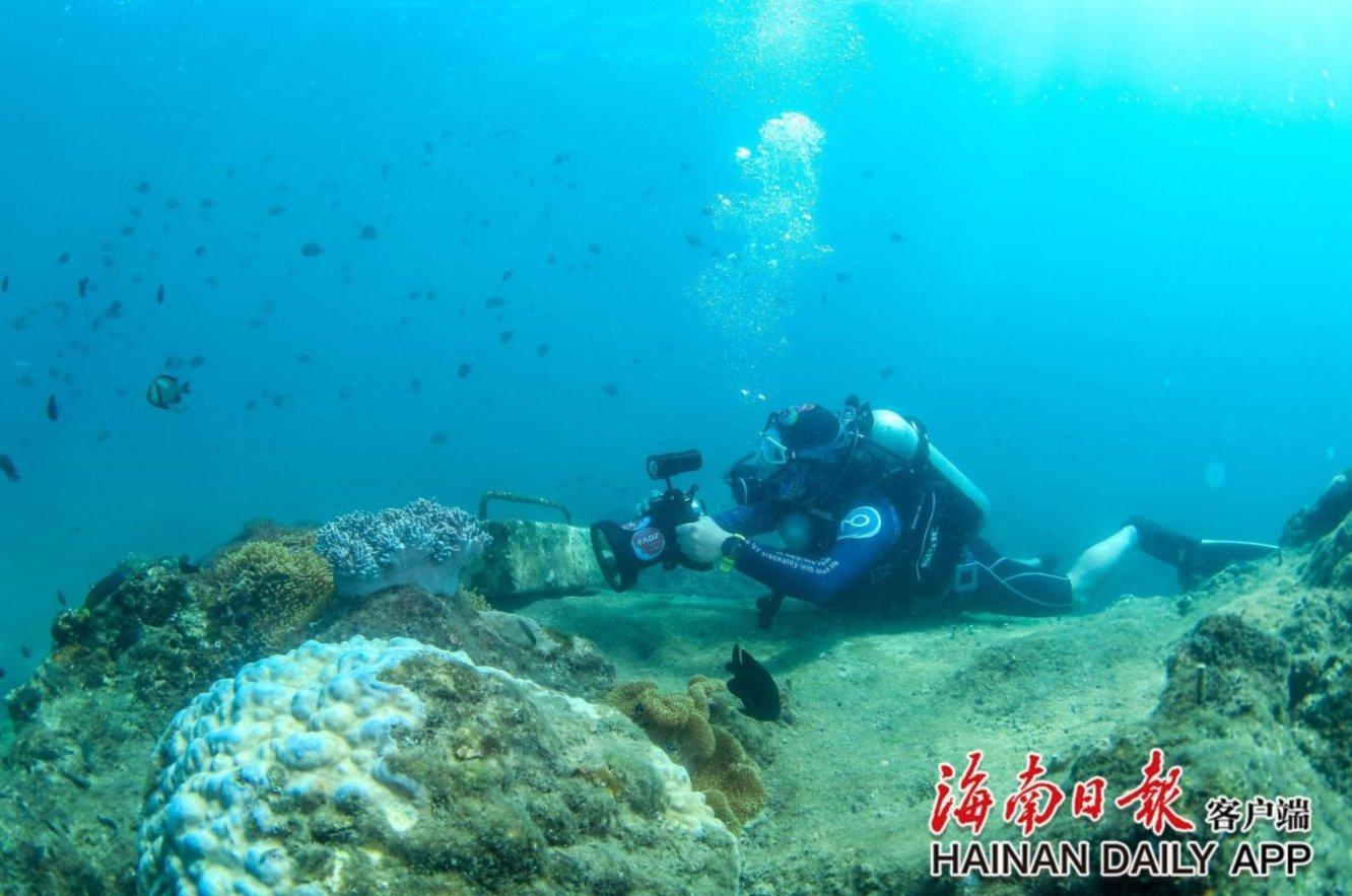 救援深海动物