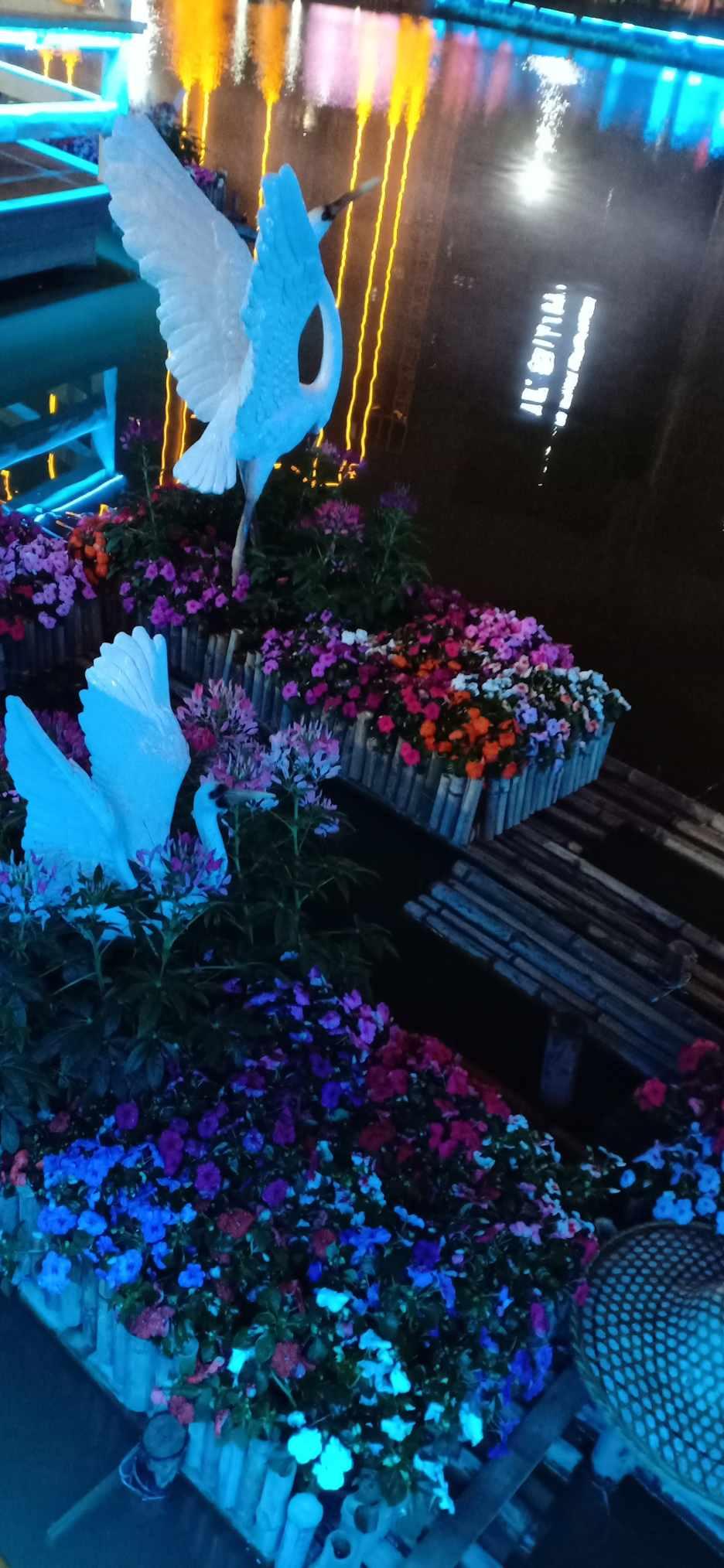 探索神秘小屋