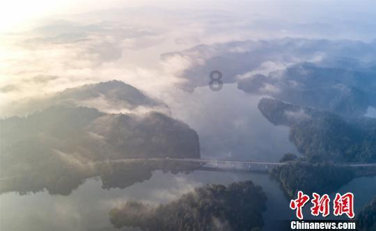 大脚车狂飙赛